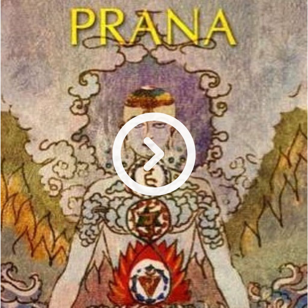 illustration within the body of a yogi of the chakras, 5 elements and prana in the yogic system